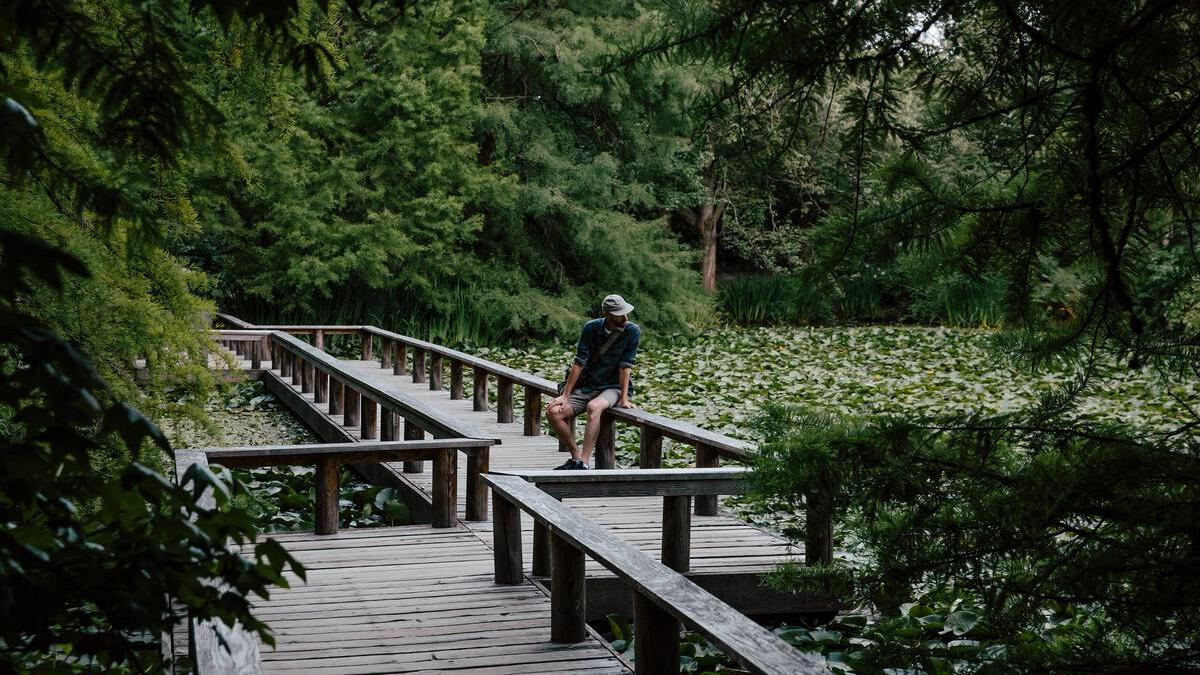 Find Tranquility at These Urban Oases
