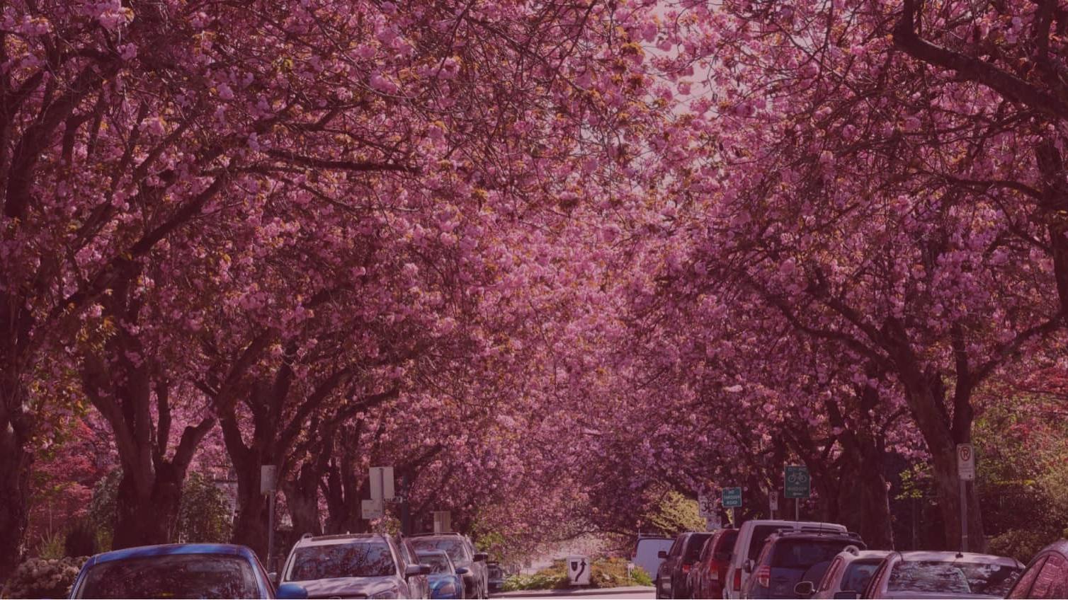 image background